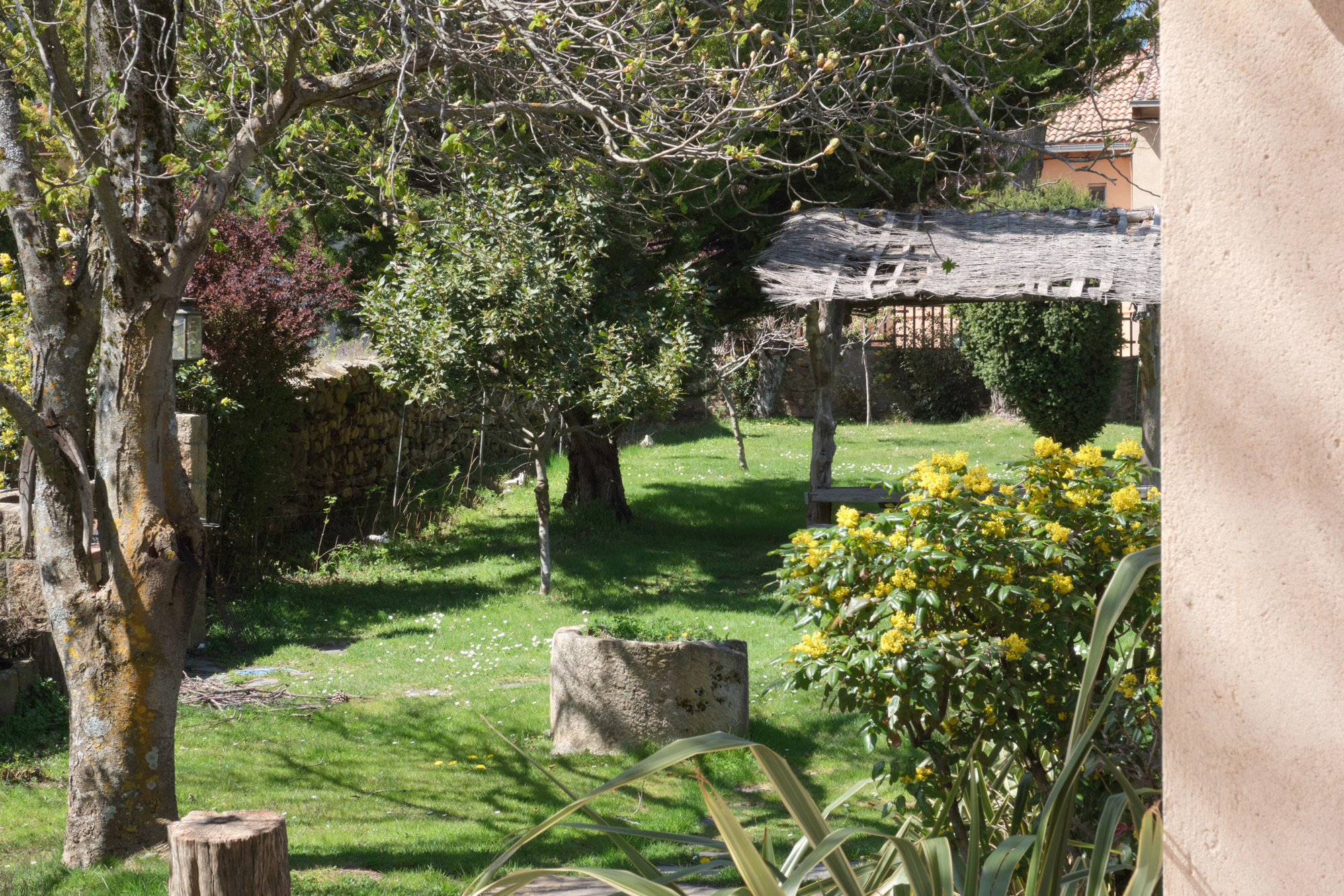 Pozo plantas exterior Casa Rural Riaza