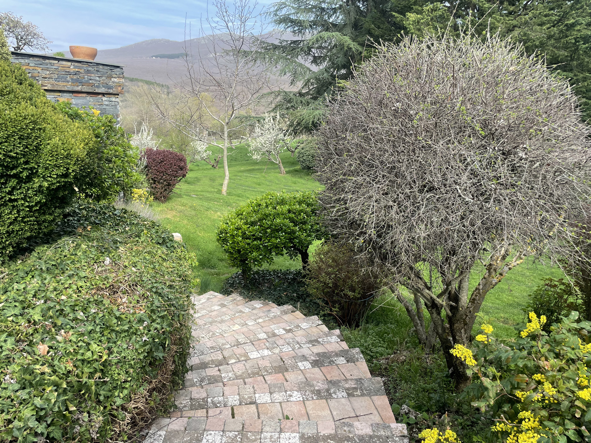 bajada escaleras jardin Casa Rural Riaza